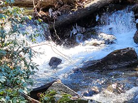 $StoneCabin 2-21-2022007$ There was more water in the stream than what I expected but it was fishable and expecially scenic.